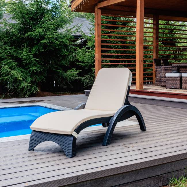 Пластиковый шезлонг Royal Family MARK антрацит (с матрасом)