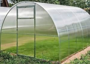 Теплица Агросфера Стандарт 8м, без СПК
